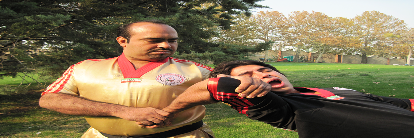 انجام امور بادیگارد، محافظ شخصی، حراست فیزیکی